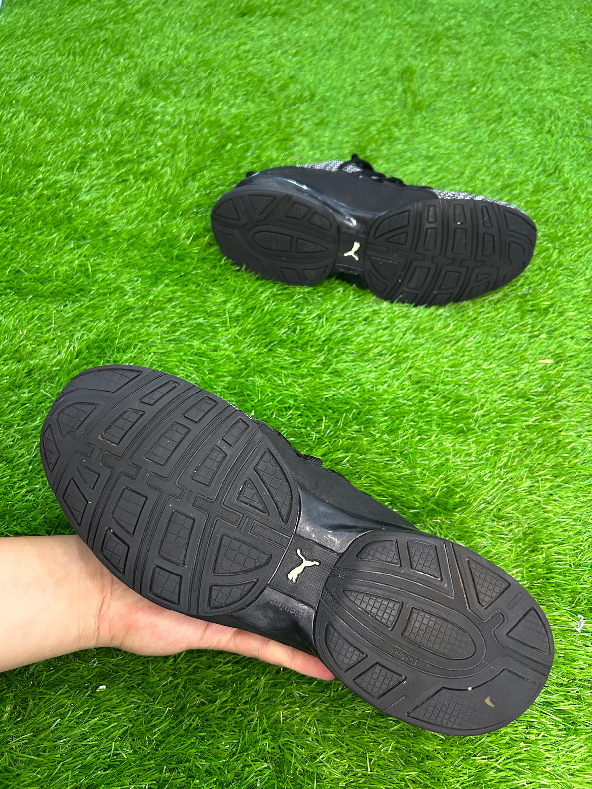Puma Momenta