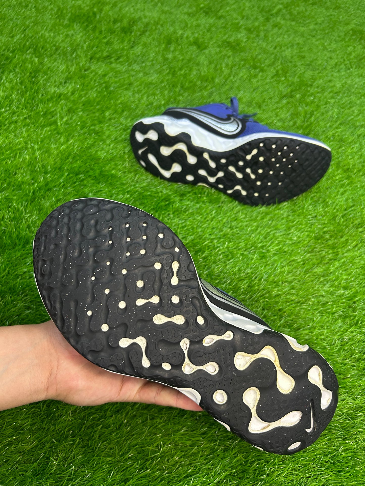 Nike Renew Ride 2