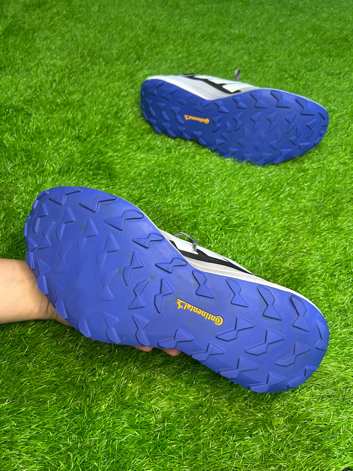 Adidas Terrex Agravic GTX Trail