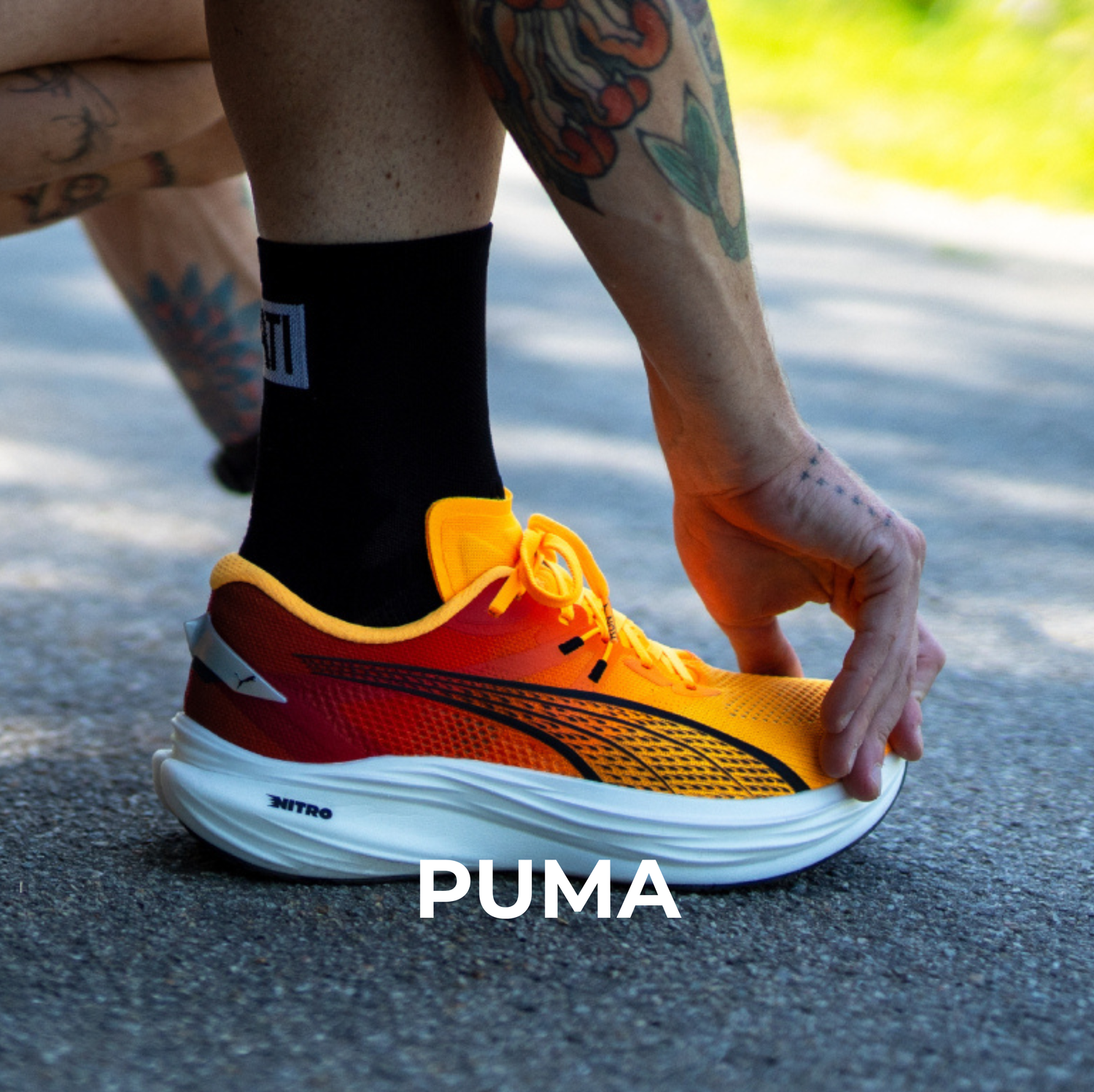 Puma