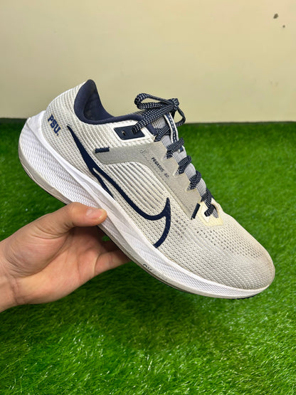 Nike Pegasus 40