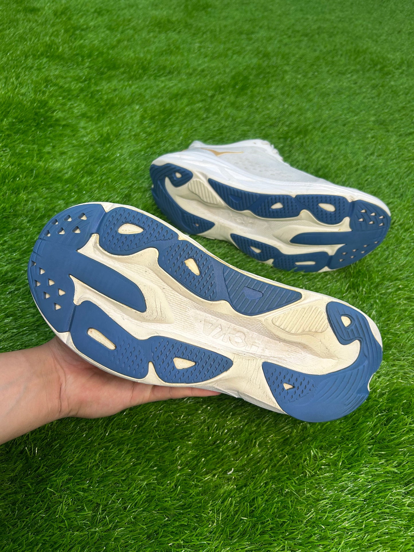 Hoka SkyFlow