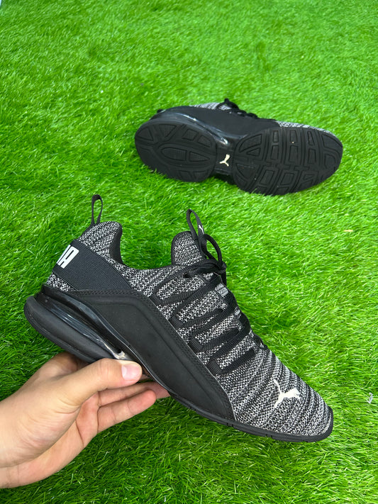 Puma Momenta