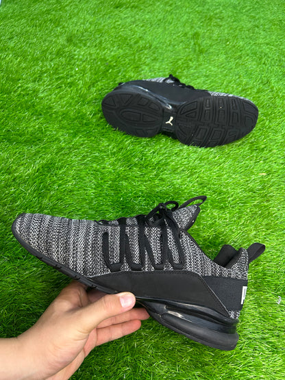 Puma Momenta