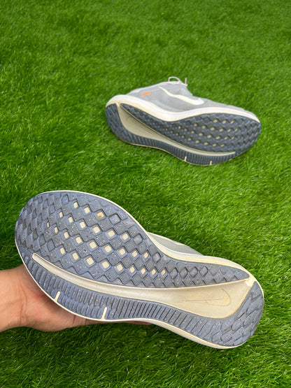 Nike Winflo 10