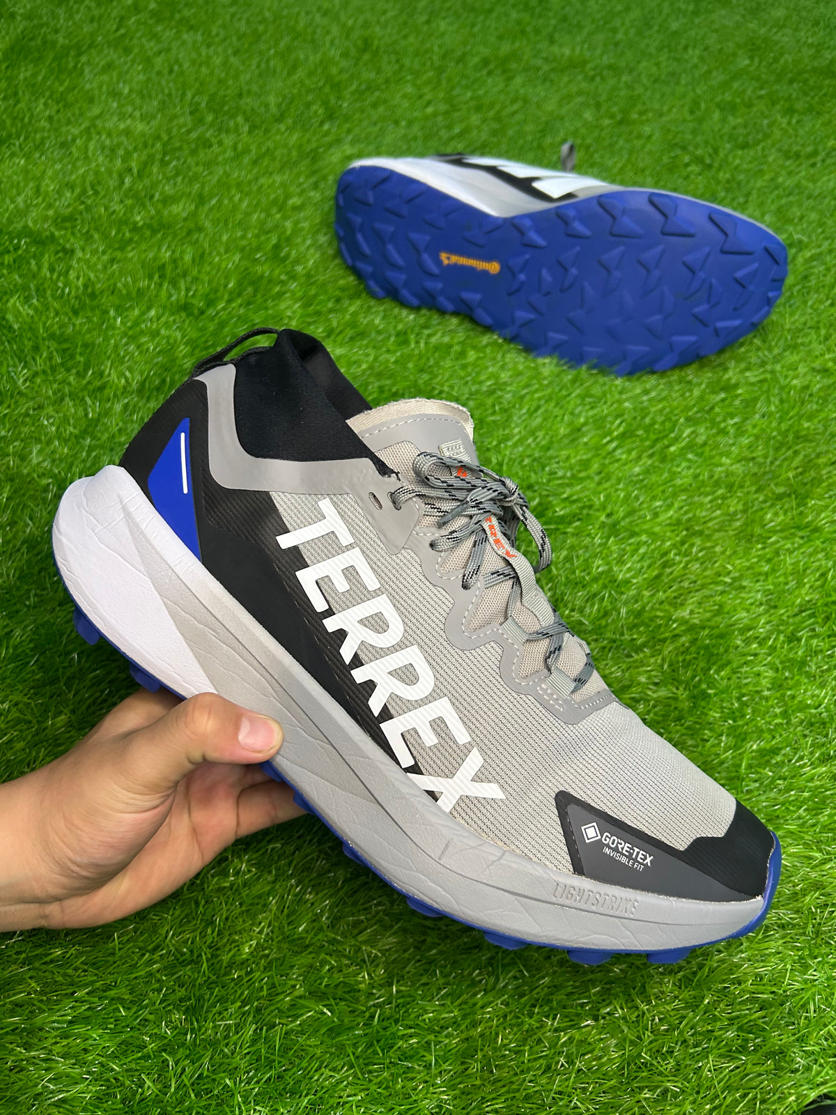 Adidas Terrex Agravic GTX Trail