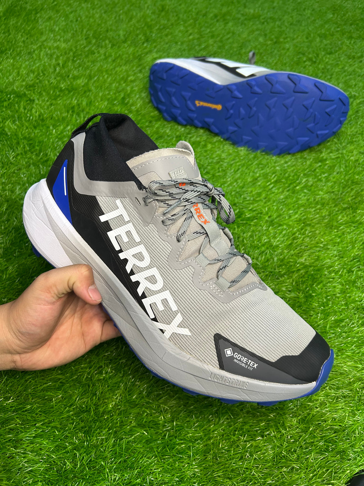 Adidas Terrex Agravic GTX Trail