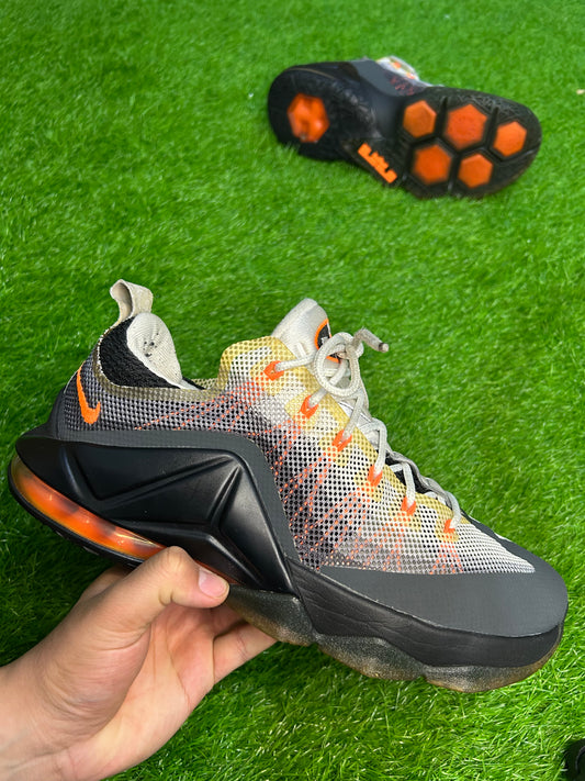 Nike Air Max 95 Lebron 12 Low
