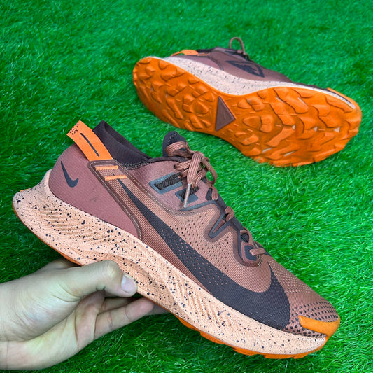 Nike Pegasus Trail 2
